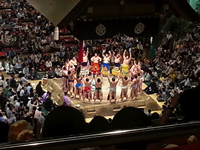Sumo